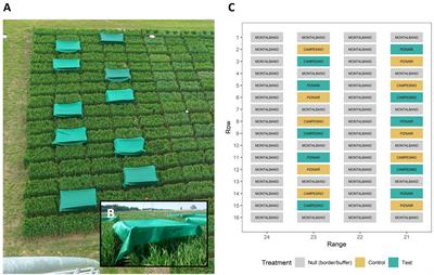 <mark class="highlighted">Thermal imaging</mark> can reveal variation in stay-green functionality of wheat canopies under temperate conditions